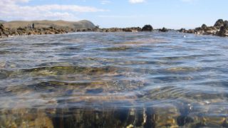 Sea and Rocks